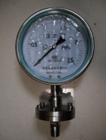 Y-100MFĤʽѹ